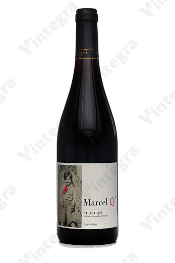 Marcel Q3 Atlantique, 2019, сухое, 0.75 л., 12%, Франция