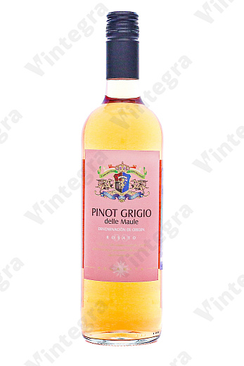 Solarita Pinot Grigio Rosato delle Maule, 2024, сухое, 0.75 л., 12.5%, Чили