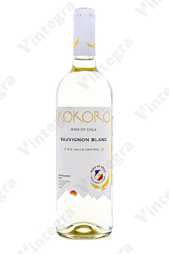 Cocoro Sauvignon Blanc, 2024, сухое, 0.75 л., 12.5%, Чили