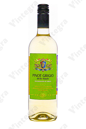 Solarita Pinot Grigio, 2024, сухое, 0.75 л., 12.5%, Чили