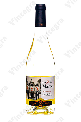 Les fils de Marcel Moelleux Atlantique, 2023, полусладкое, 0.75 л., 11%, Франция