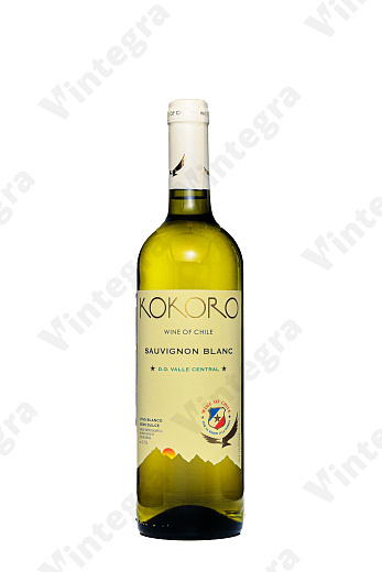 Cocoro Sauvignon Blanc, 2022, полусладкое, 0.75 л., Чили